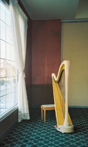 Harpist NWI