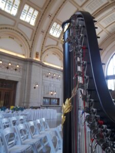 Harp Player Fort Wayne