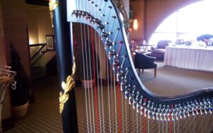 Petoskey Wedding Harpist