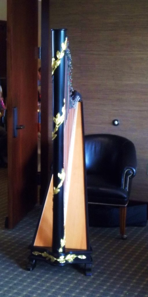 Petoskey MI Harpist