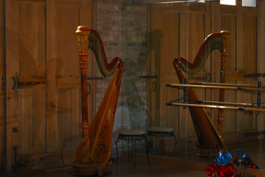 Chicago Harpist