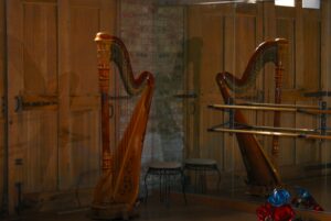Chicago Jazz Harpist