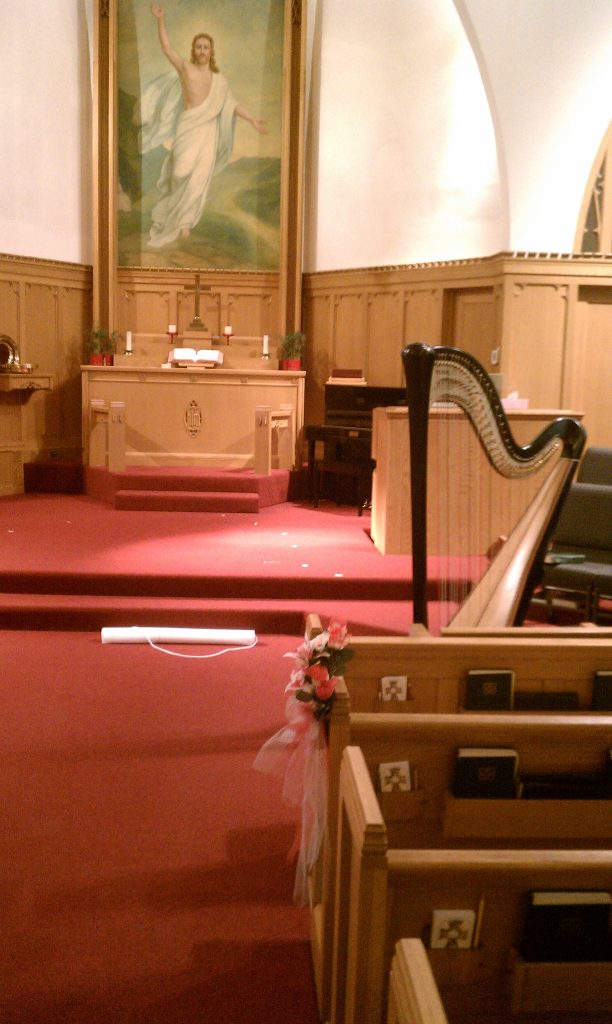 Wedding Harpist LaPorte