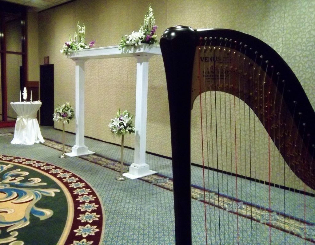 Harpist In Michigan City