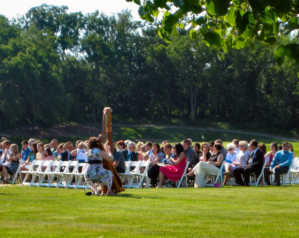 Harpist in South Bend