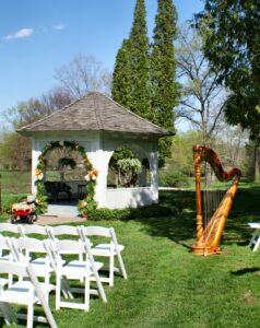Kalamazoo Harpist
