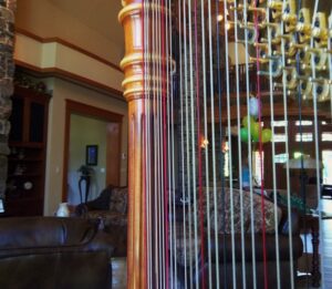 Chicago Harpist