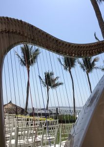 Myrtle Beach Harpist