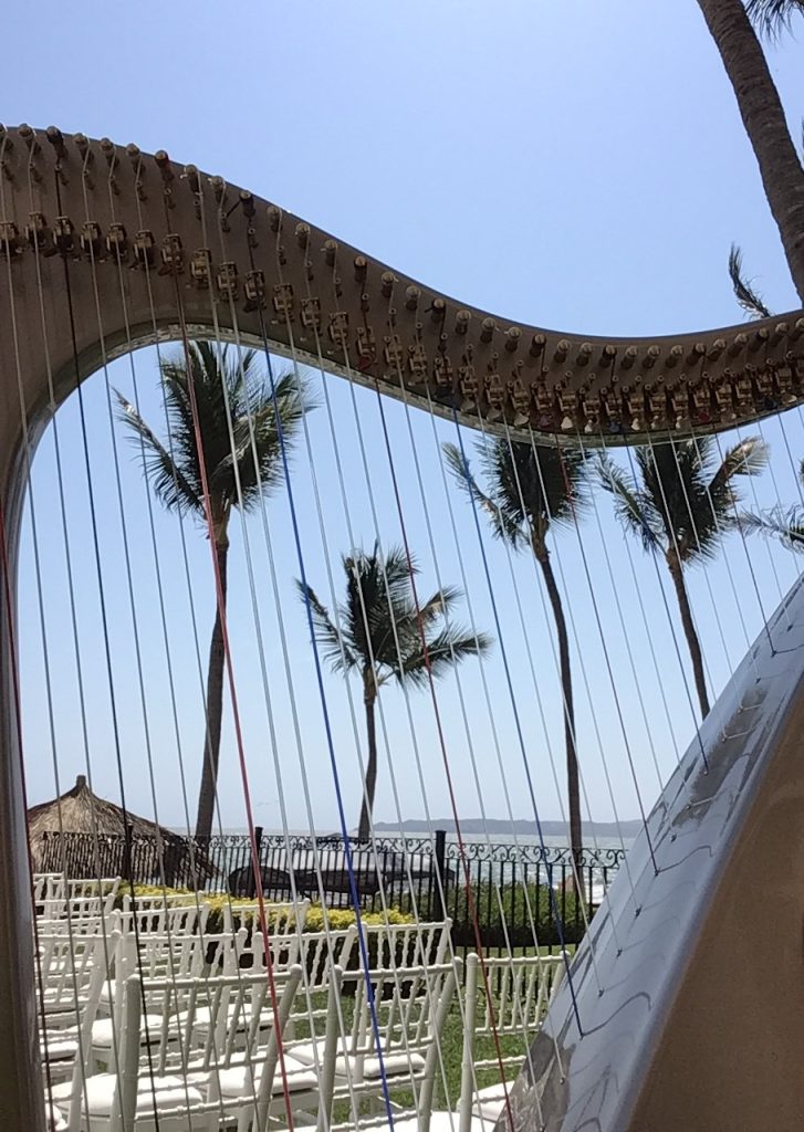 Myrtle Beach Harpist