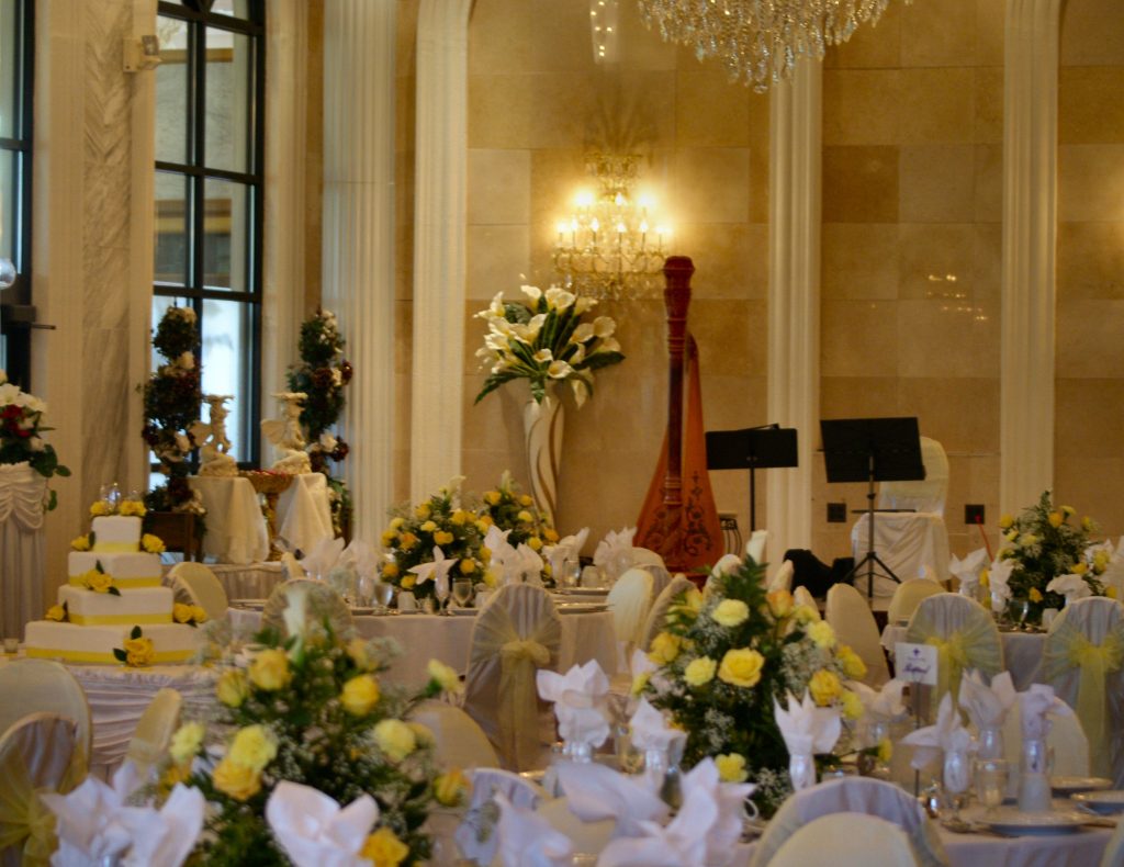 Chicago Wedding Reception Harpist