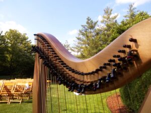 Celtic Music for Weddings in Chicago