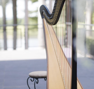Mound City IL Harpist