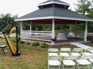 Coldwater MI Harpist
