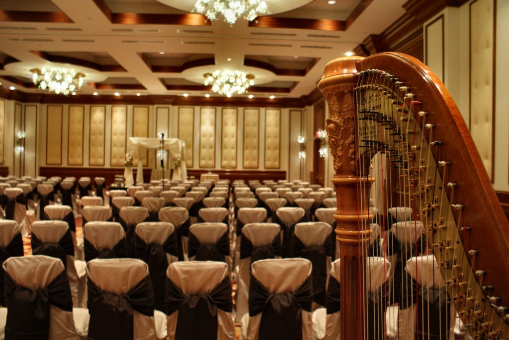 Indianapolis Harpist
