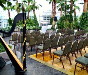 Wedding Ceremony Music at Navy Pier