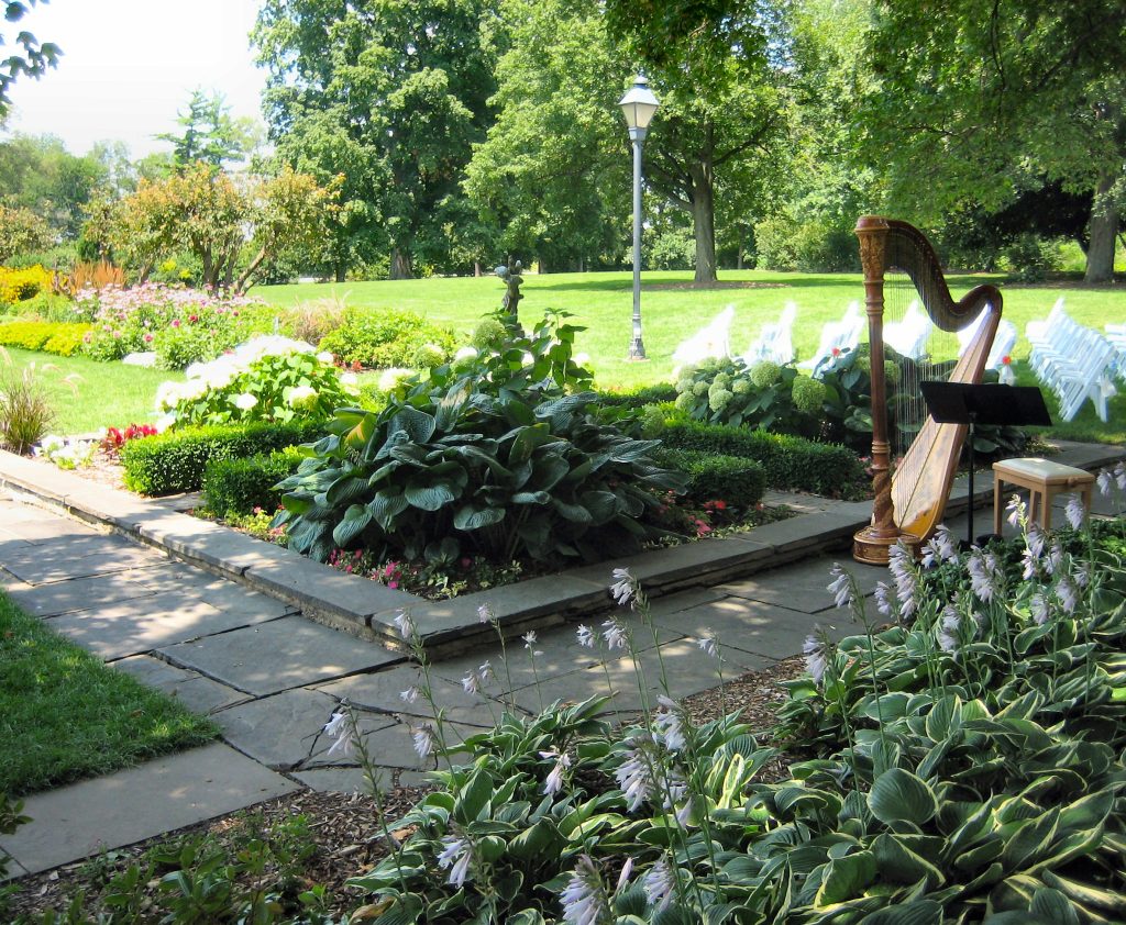 Chicago Harpist for Weddings