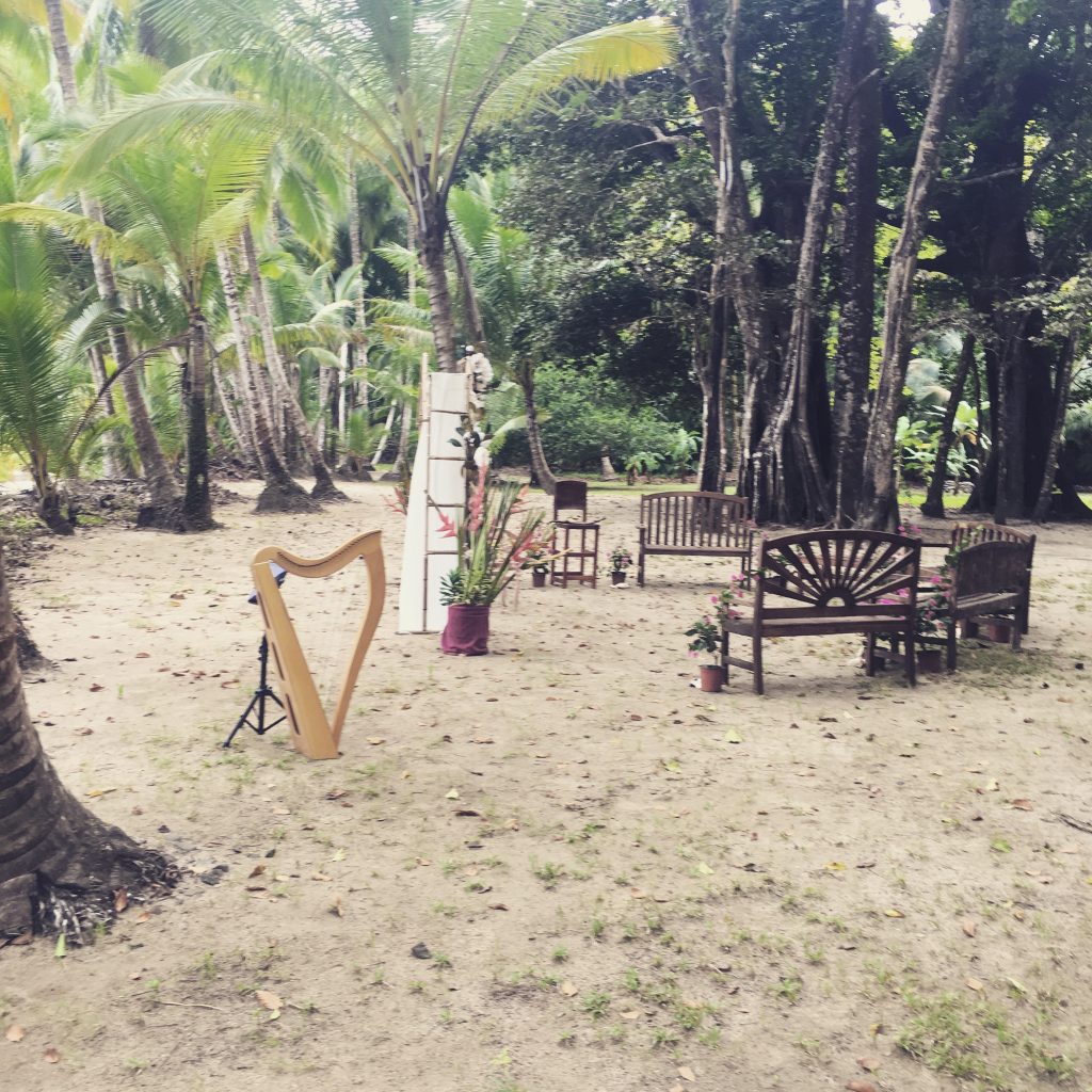 Turks & Caicos Wedding Harpist