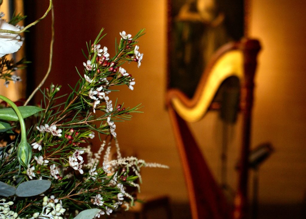Detroit Wedding Harpist