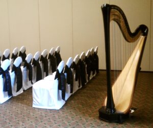 Wedding Harpist Bloomington-Normal