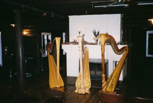 Harpists in Northwest Indiana