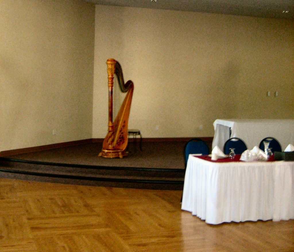 Harp Player Portage Indiana