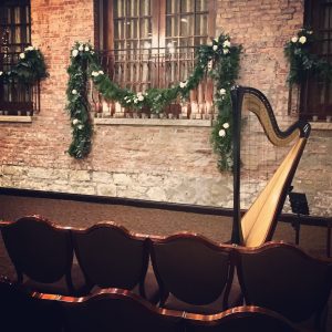 Chippewa Falls WI Harpist