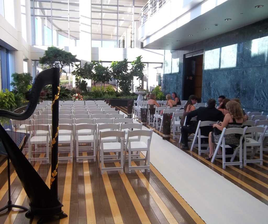 Downers Grove Harpist