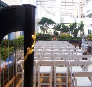 Wedding Musician Downers Grove