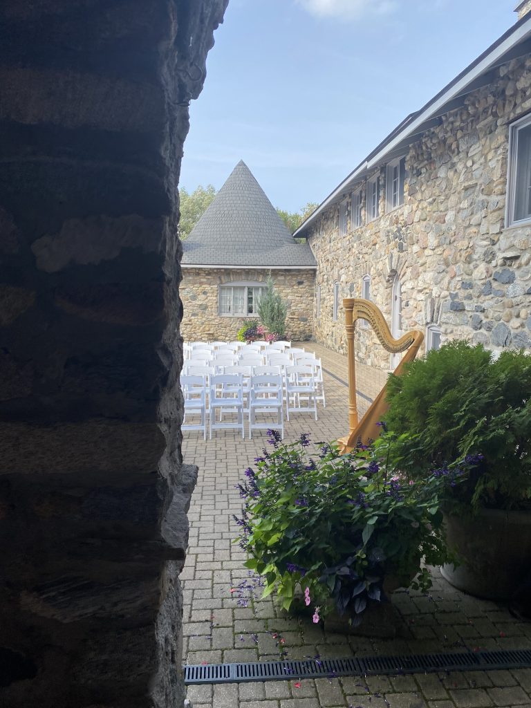 Porto Wedding Harpist