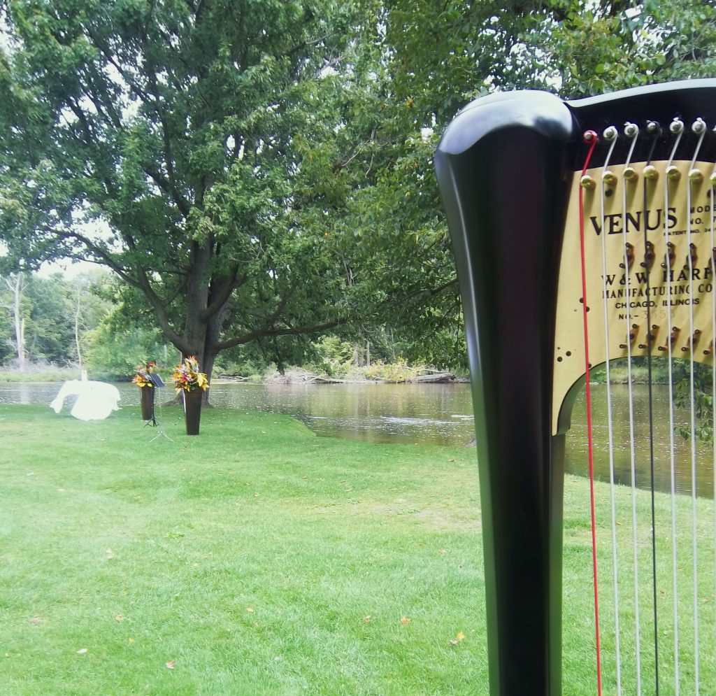 Grand Rapids Wedding Musician