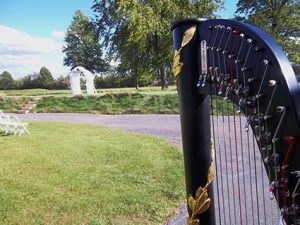 Fort Wayne Harpist
