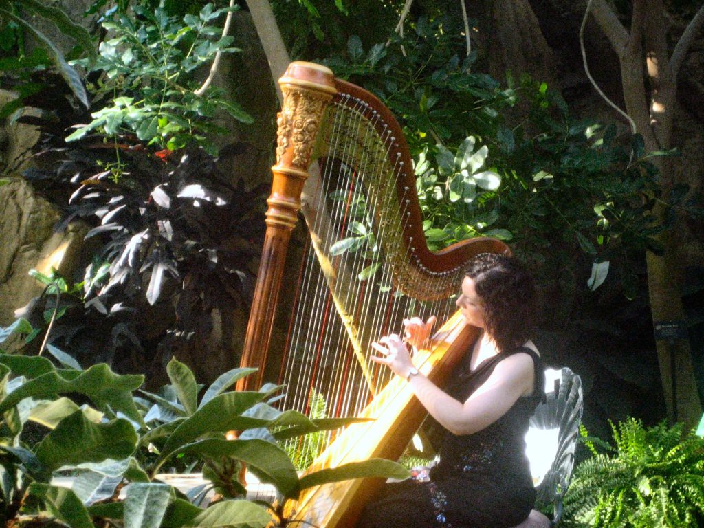 Grand Rapids Harp Musician