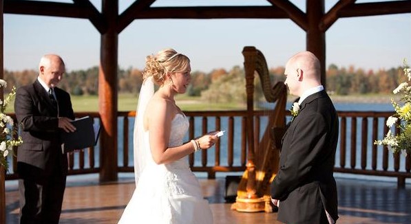Port Huron MI Wedding Harpist