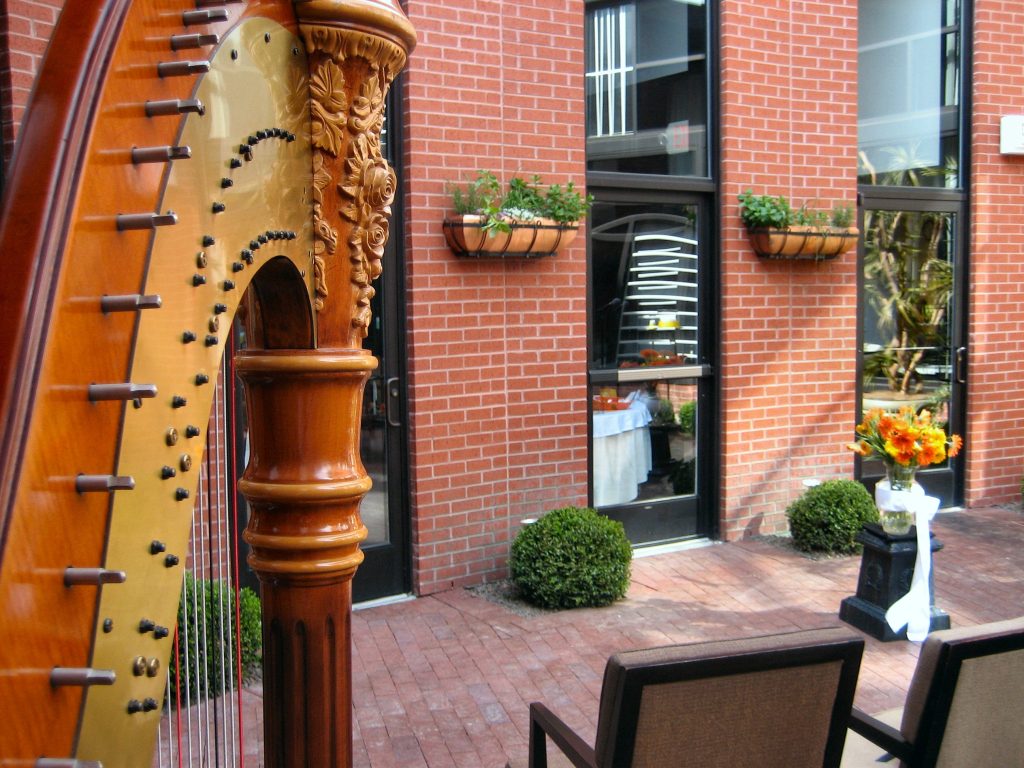 Harpist in Merrillville IN