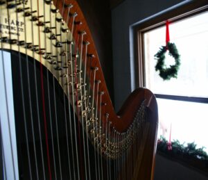 Harpist for Weddings in West Michigan