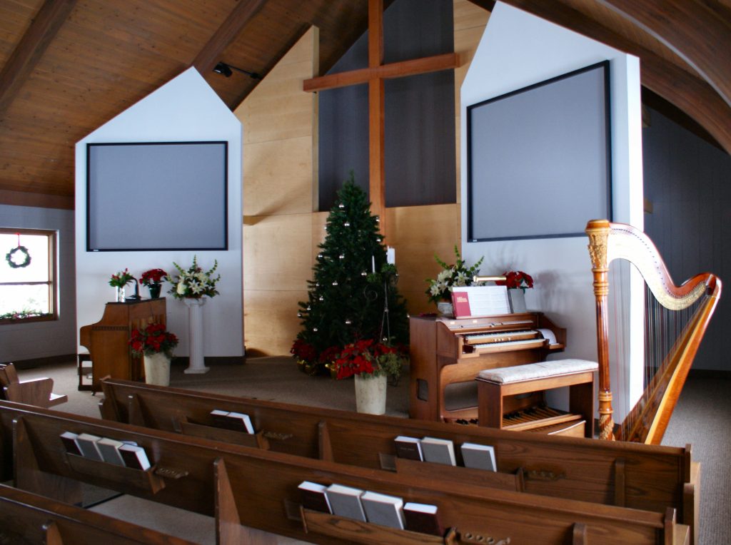 Harpist in Holland MI