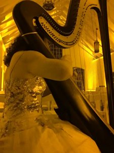 Beaver Dam WI Harpist