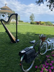Eau Claire WI Harpist