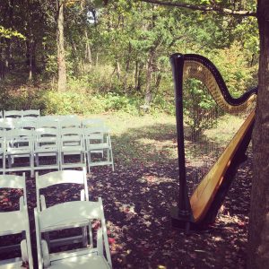 Tawas City MI Harpist