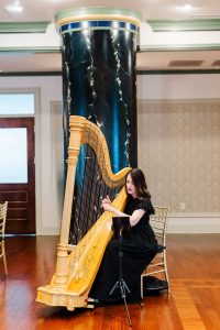 Baldwin MI Harpist
