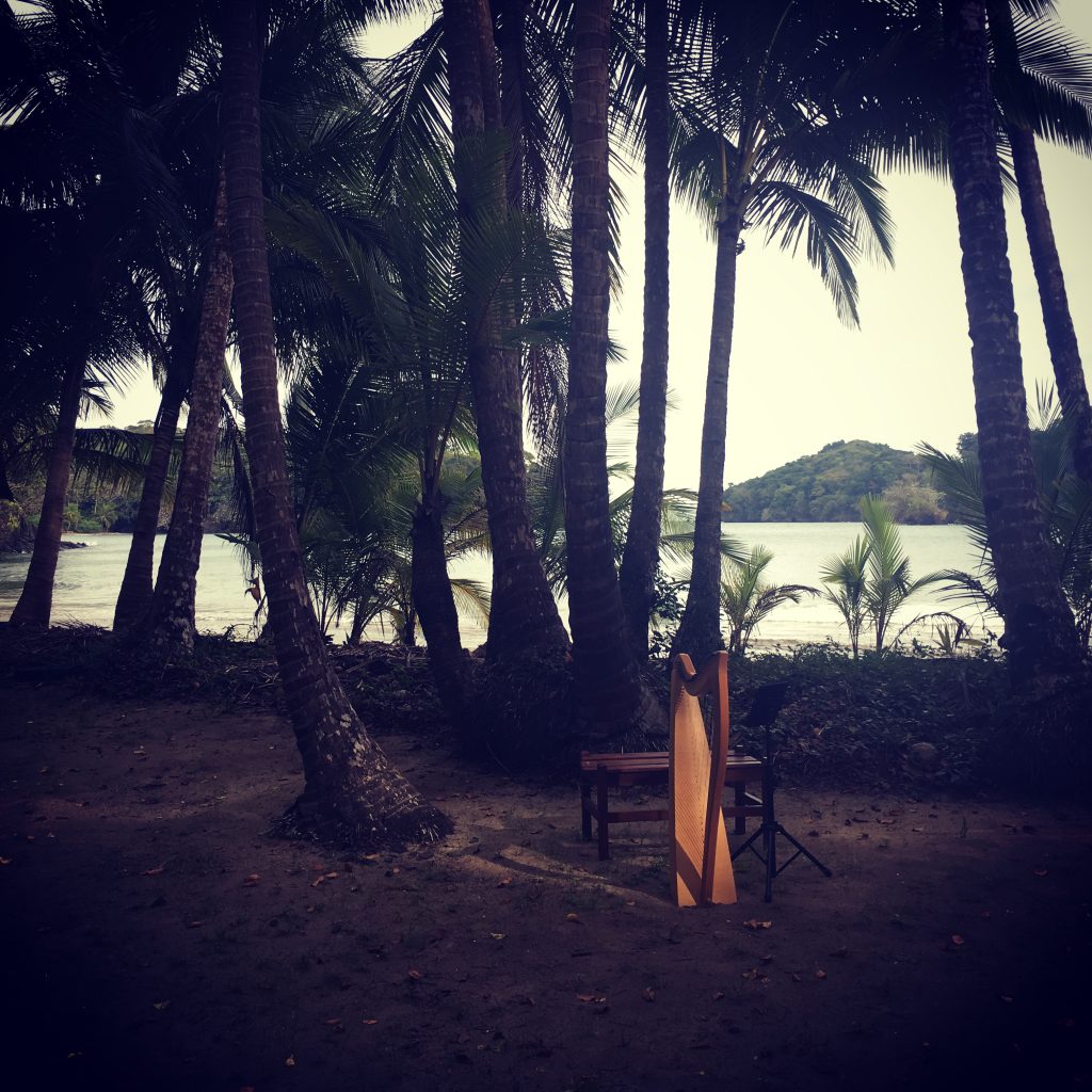 Harpist Vieques Culebra Puerto Rico