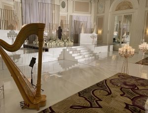 Leland MI Harpist