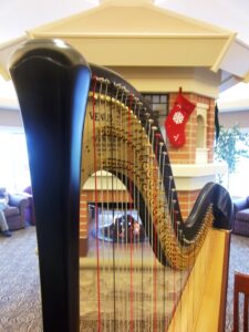 Library Harpist Northern Indiana
