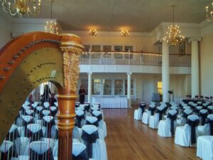 Wedding Harpist Southwest Michigan