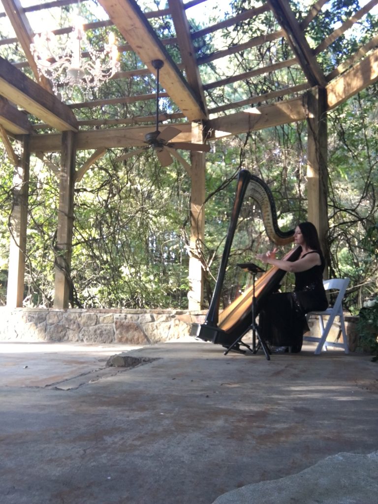 Cambridge OH Harpist