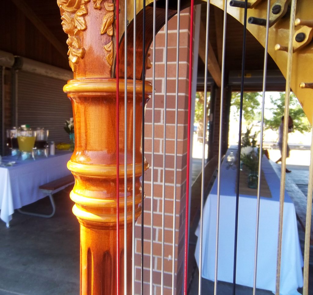 Wedding Musician in Holland MI