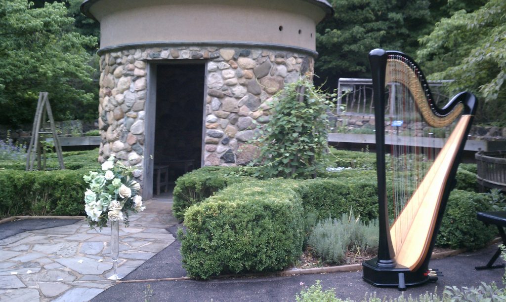 Harpist Southwest Michigan