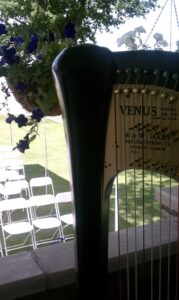 Freeport IL Harpist