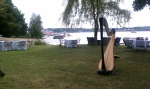 Erie PA Harpist