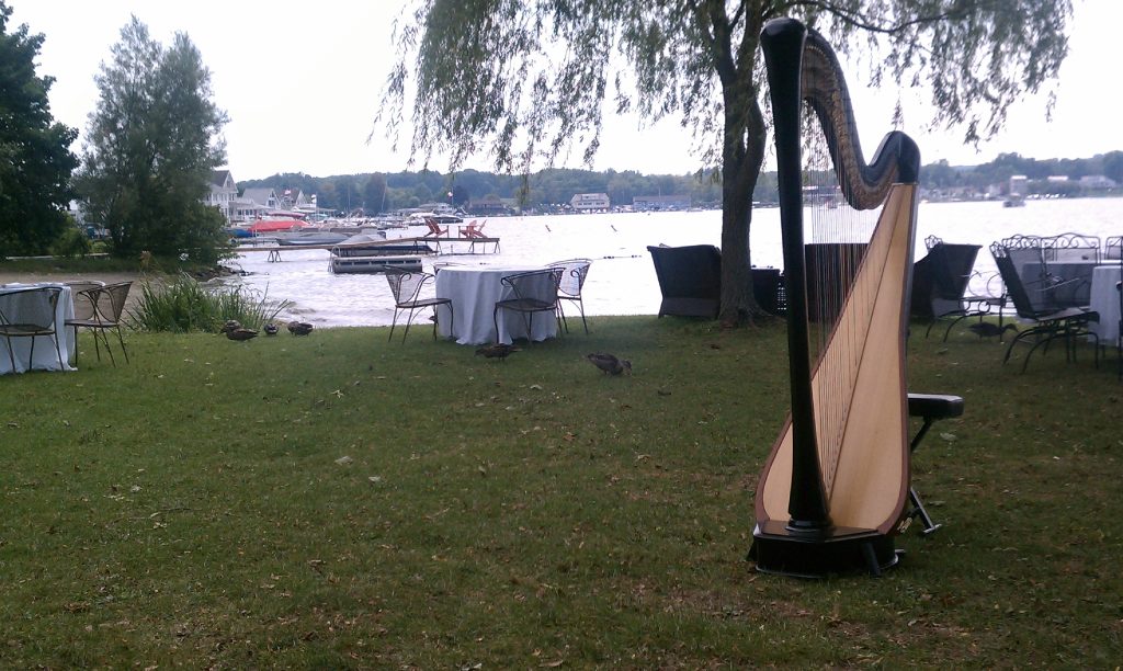 Wedding Harpist Erie PA